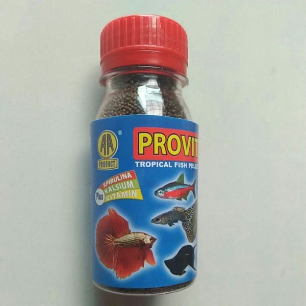 Pakan-Provit-damar-betta